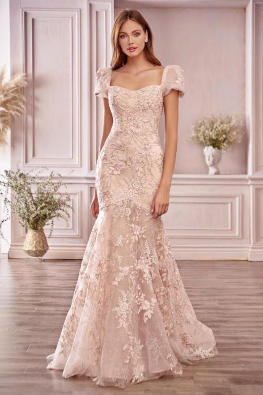 Robe de soirée sirène Cap Bubble Sleeves Appliques en dentelle de tulle