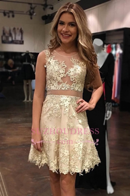 Appliques Tulle Scoop A-Line Glamorous Sleeveless   Homecoming Dress