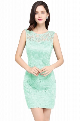 Designer Party Sleeveless Lace Scoop Sheath Dress Online_5