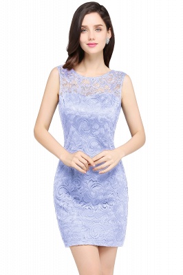 Designer Party Sleeveless Lace Scoop Sheath Dress Online_14