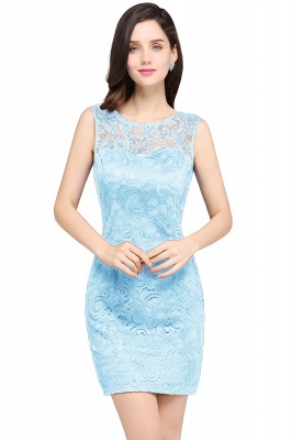 Designer Party Sleeveless Lace Scoop Sheath Dress Online_11