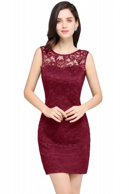 Designer Party Sleeveless Lace Scoop Sheath Dress Online_8