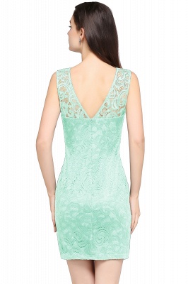 Designer Party Sleeveless Lace Scoop Sheath Dress Online_4