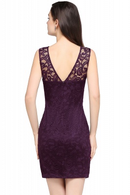 Designer Party Sleeveless Lace Scoop Sheath Dress Online_13