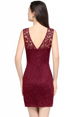 Designer Party Sleeveless Lace Scoop Sheath Dress Online_9