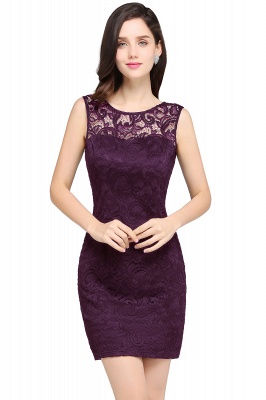 Designer Party Sleeveless Lace Scoop Sheath Dress Online_12