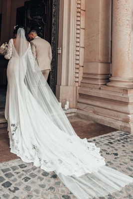 Lace Wunderschöne Meerjungfrau Brautkleider mit Ärmeln_2