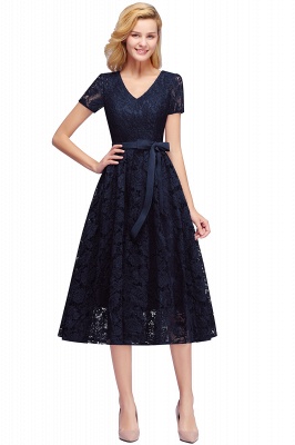 Beautiful Plus Size Short Sleeves Lace V-Neck Party Dress_5