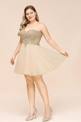 Gorgeous Sweetheart Short A Line Lace Appliques Prom Dresses_12