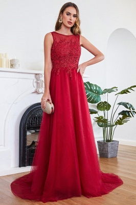 Superbe robe de soirée trapèze en tulle avec traîne et appliques_5