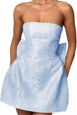 Lovely Sky Blue Strapless Lace Homecoming Dress Online_6