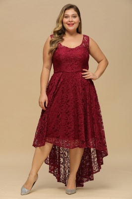 Beautiful Lace Scoop Sleeveless Prom Party Dress_2