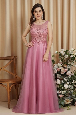 Amazing Tulle A-Line Train Evening Court Dress With Appliques