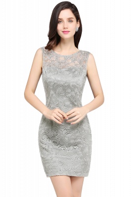 Designer Party Sleeveless Lace Scoop Sheath Dress Online_16