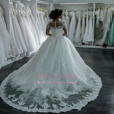 Long Sleeves Beaded Sheer Ball Gown Wedding Dress  Lace Bridal Dresses LY104_4