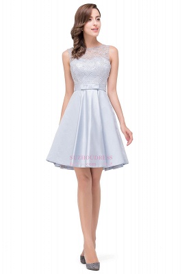 Sleeveless Short Zipper Elegant Lace Homecoming Dress_5