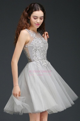 Appliques Tulle Sleeveless A-Line Silver Short Homecoming Dress_5